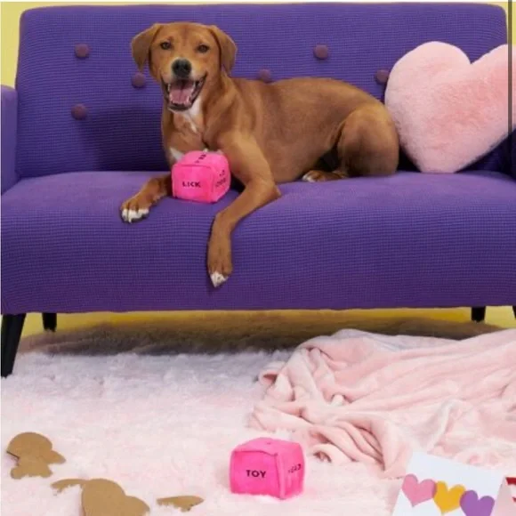 NWT Bark Box Gnawty Dog Dice Dog Toy - Valentine’s Day Dog Toy Squeaky 🎲 💕 - Picture 6 of 6